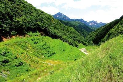 中國生態修復典型案例 河南小秦嶺國家級自然保護區礦山環境生態修復治理